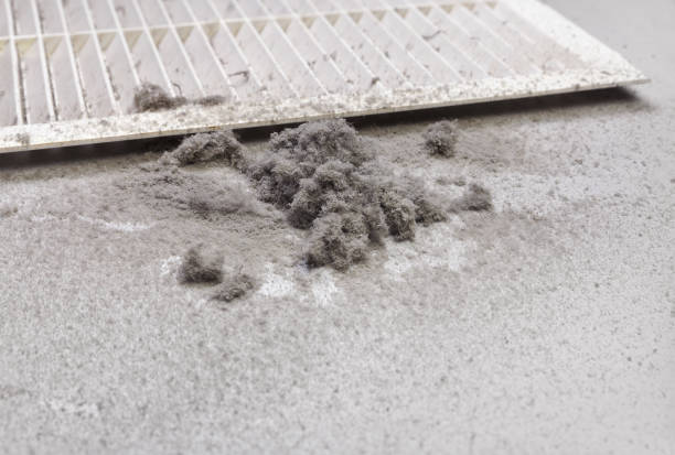 Best Commercial HVAC Duct Cleaning  in Moroni, UT