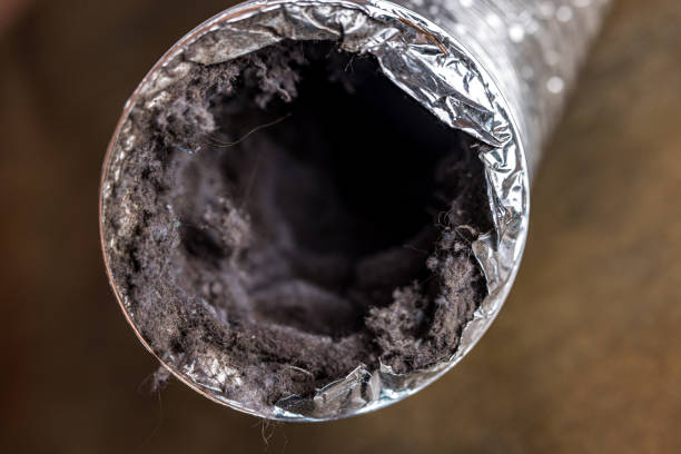 Best Air Duct Inspection  in Moroni, UT