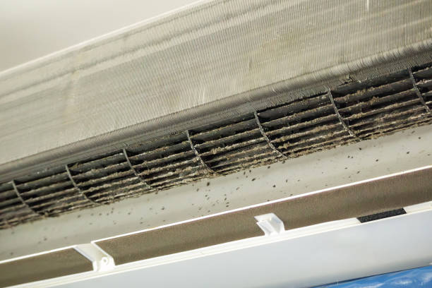 Best Air Duct Cleaning Near Me  in Moroni, UT